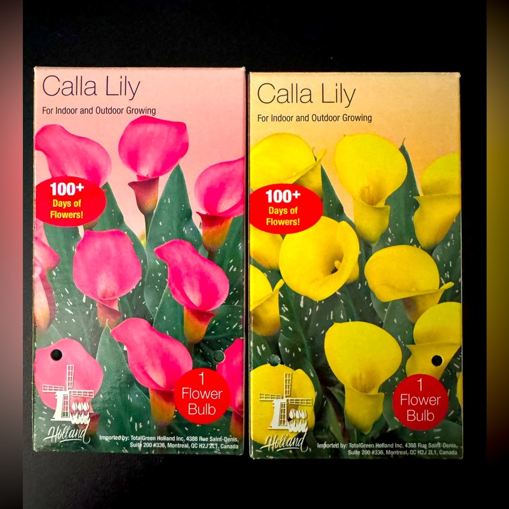 🎁GIFT With Purchase🎁 
Calla Lily Flower Bulb Set - Pink and Yellow